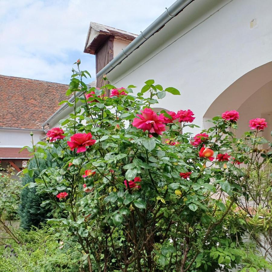 Blues Ryokan Kőszeg Extérieur photo