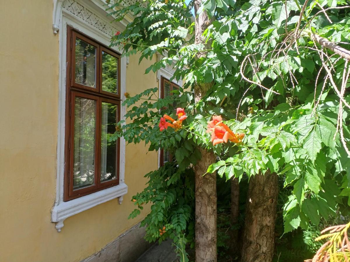 Blues Ryokan Kőszeg Extérieur photo